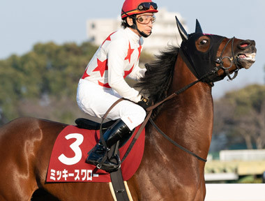 札幌記念は3頭のハナ争いに注目も、鼻高々になっちゃうのは別の馬