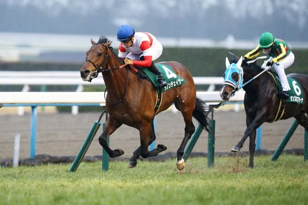 高額馬がいよいよ本領発揮か 変則二冠 に挑むダノンチェイサー 競馬 集英社のスポーツ総合雑誌 スポルティーバ 公式サイト Web Sportiva