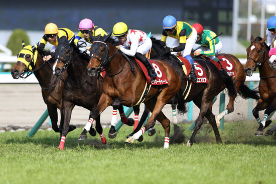 前哨戦となる阪神牝馬Ｓはミッキーチャームが混戦を制した。photo by Eiichi Yamane/AFLO