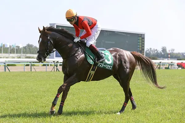 函館スプリントsは大荒れか 激走パターンを紐解き 3頭がくるぅ 競馬 集英社のスポーツ総合雑誌 スポルティーバ 公式サイト Web Sportiva 函館スプリントsは大荒れか 激走パターンを紐解き 3頭がくるぅ 競馬 集英社のスポーツ総合雑誌 スポルティーバ 公式サイト Web Sportiva