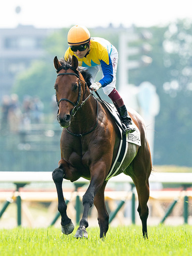 札幌記念に挑む唯一の３歳馬ランフォザローゼス
