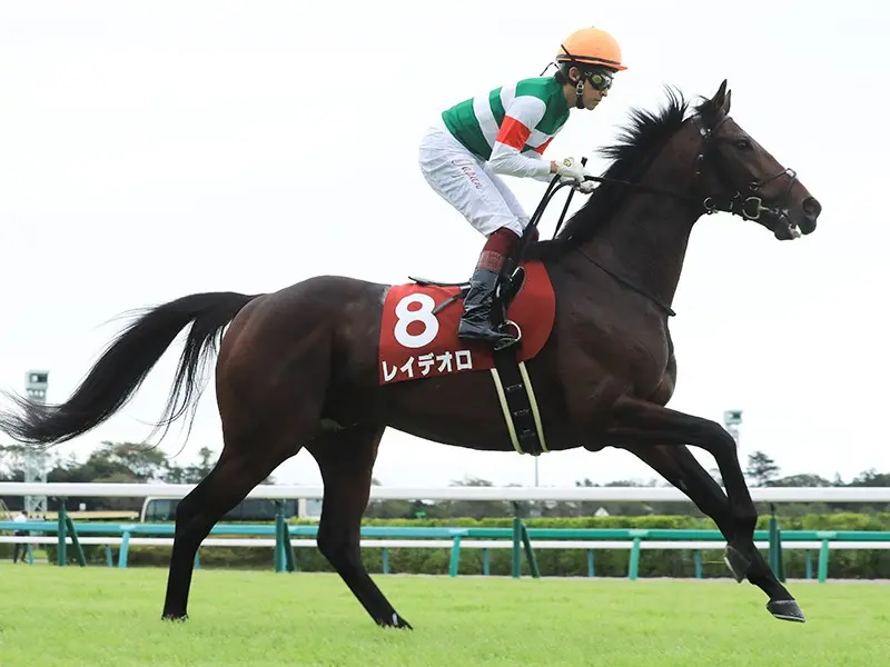 スランプに陥ったダービー馬レイデオロ ジャパンcでの復活はあるか 競馬 集英社のスポーツ総合雑誌 スポルティーバ 公式サイト Web Sportiva スランプに陥ったダービー馬レイデオロ ジャパンcでの復活はあるか 競馬 集英社のスポーツ総合雑誌 スポルティーバ 公式サイト Web Sportiva