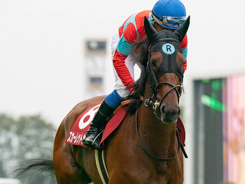 ミッキーチャーム の検索結果 集英社のスポーツ総合雑誌 スポルティーバ 公式サイト Web Sportiva