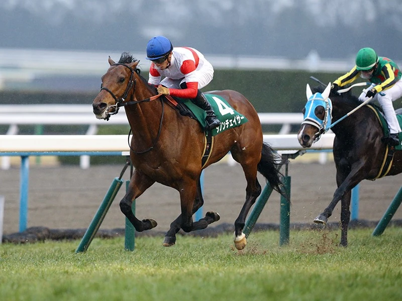 ダノンチェイサーの妹 アクニディは馬体重370 も 終いは伸びる 競馬 集英社のスポーツ総合雑誌 スポルティーバ 公式サイト Web Sportiva