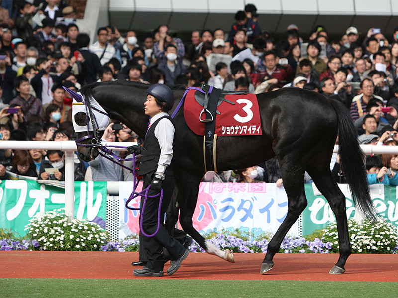 重賞馬の兄を持つレッドラルジュ。北村宏司騎手も「なかなかいい」