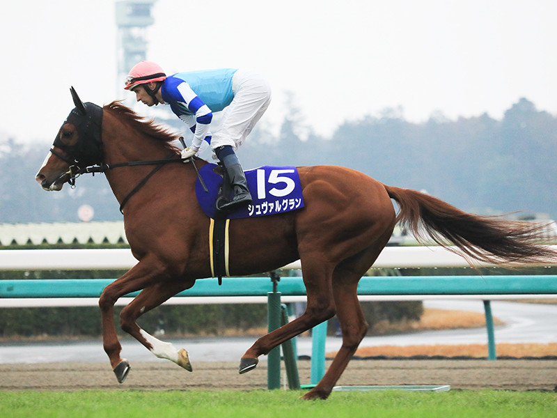 有馬記念はドラマティック。引退馬2頭か実力3歳馬が劇的結末を呼ぶ