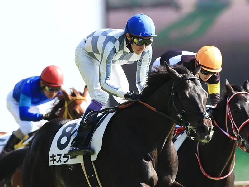 良血ヴェルズネイ 走る馬特有のバネがある と名門厩舎が高評価 競馬 集英社のスポーツ総合雑誌 スポルティーバ 公式サイト Web Sportiva