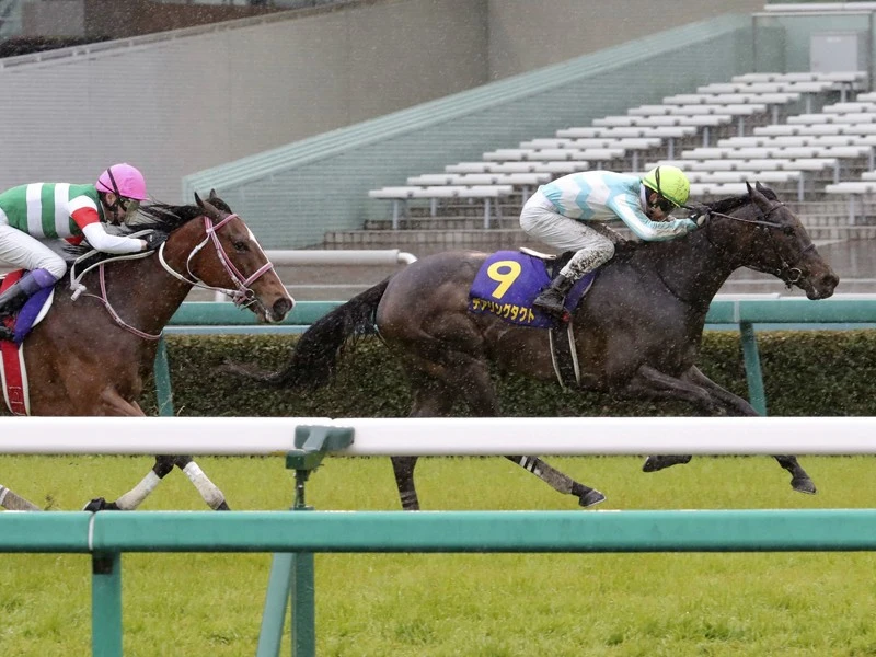 桜花賞前とはガラッと一変。オークスを読み解く「３歳牝馬ランキング」｜競馬｜集英社のスポーツ総合雑誌 スポルティーバ 公式サイト web Sportiva