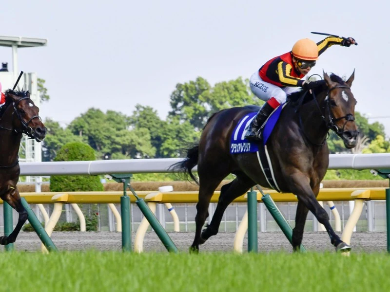 池添騎手演出の完璧なアーモンドアイ包囲網。グラン ...