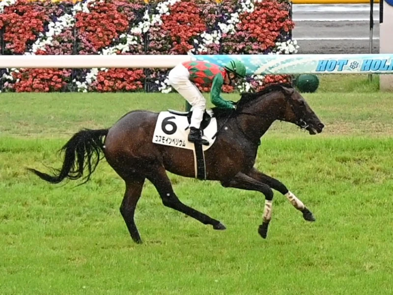 秋への飛躍につながるラジオnikkei賞 人気薄でもコース実績馬で勝負 競馬 集英社のスポーツ総合雑誌 スポルティーバ 公式サイト Web Sportiva