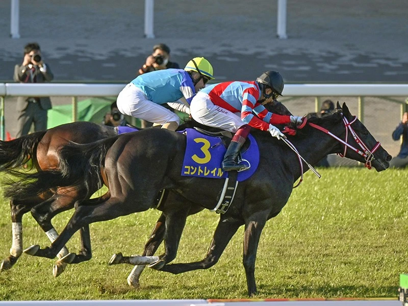 三冠馬フィギュア3体