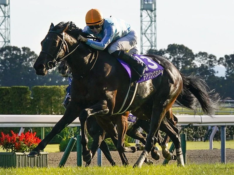 ジェンティルドンナ の検索結果 集英社のスポーツ総合雑誌 スポルティーバ 公式サイト Web Sportiva