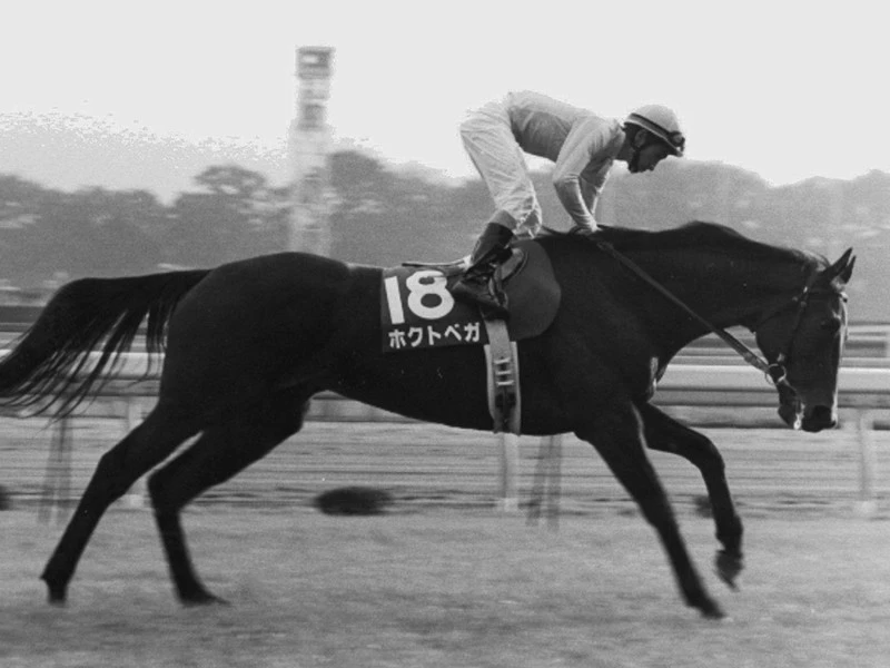 エリザベス女王杯と聞いて思い出す ベガはベガでも ホクトベガ 競馬 集英社のスポーツ総合雑誌 スポルティーバ 公式サイト Web Sportiva