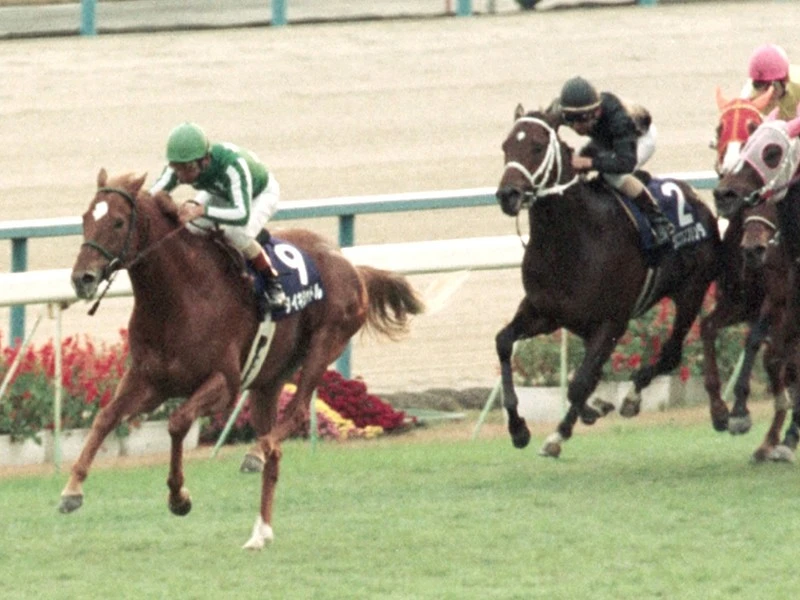 記憶に残る名馬 函館記念といえば思い出す サッカーボーイ 競馬 集英社のスポーツ総合雑誌 スポルティーバ 公式サイト Web Sportiva