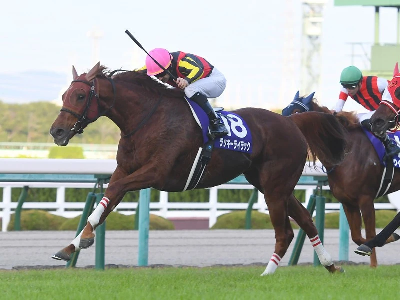 有馬記念で見逃せないステイゴールドの血。２頭に激走の予感キーワードSportiva Presents編集部のオススメ人気記事ランキングこの記事を読んだ人にオススメSportiva Presentsスペシャルコンテンツ注目フォト