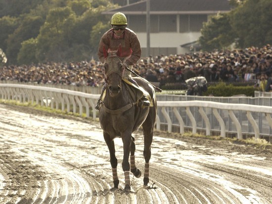 武豊騎手も騎乗したハルウララ。負ければ負けるほど、喝采を浴びた「不思議な馬」だった。photo by Kyodo News