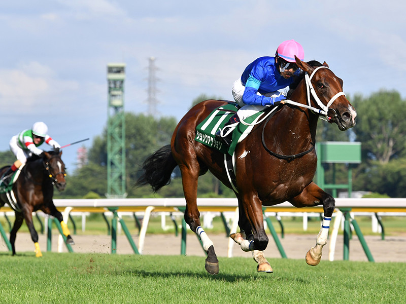 朝日杯FS、穴党記者がレース条件と過去データから見出した4頭の穴馬