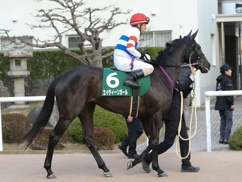 荒れ続けるシルクロードｓ 穴党記者ゆえ発見できた高配当の使者４頭 競馬 集英社のスポーツ総合雑誌 スポルティーバ 公式サイト Web Sportiva