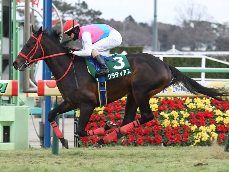 これは走る と陣営 レシステンシアの弟グラティアスがクラシックへ 競馬 集英社のスポーツ総合雑誌 スポルティーバ 公式サイト Web Sportiva これは走る と陣営 レシステンシアの弟グラティアスがクラシックへ 競馬 集英社のスポーツ総合雑誌 スポルティーバ 公式サイト Web Sportiva