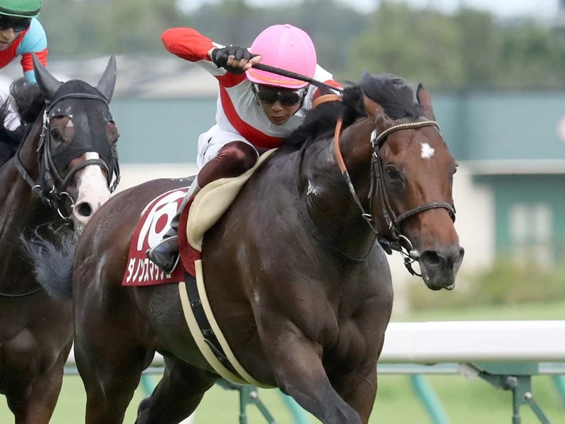 高松宮記念の ２強 ダノンスマッシュとレシステンシアを徹底比較 競馬 集英社のスポーツ総合雑誌 スポルティーバ 公式サイト Web Sportiva