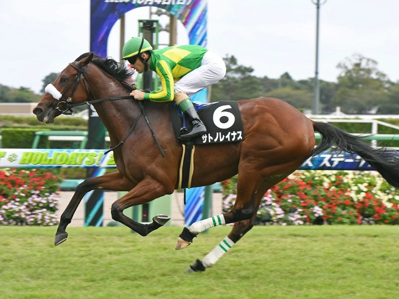 桜花賞はソダシよりサトノレイナス キャリアや血統面などデータが後押し 競馬 集英社のスポーツ総合雑誌 スポルティーバ 公式サイト Web Sportiva
