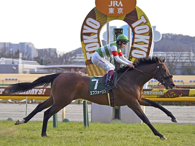 皐月賞まであと３日 空前の大混戦を読み解く ３歳牡馬ランキング 競馬 集英社のスポーツ総合雑誌 スポルティーバ 公式サイト Web Sportiva