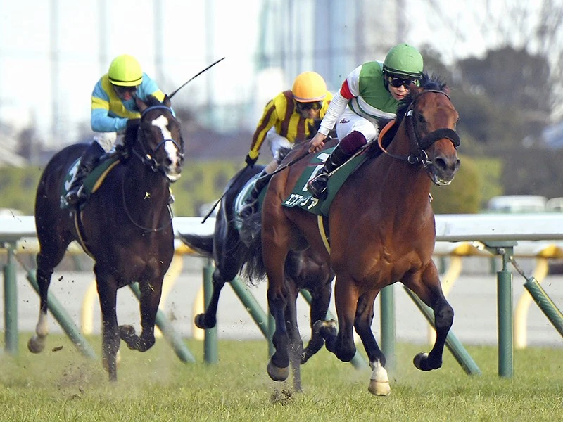 皐月賞 ダービーの行方を占う３歳牡馬番付 アンカツはどう読んだ 競馬 集英社のスポーツ総合雑誌 スポルティーバ 公式サイト Web Sportiva