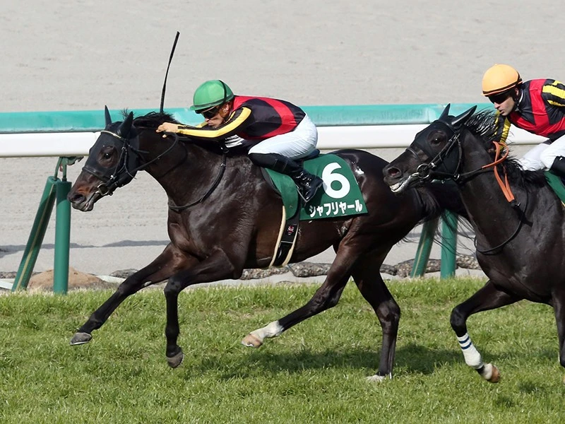 ダービーで打倒エフフォーリアの一番手か シャフリヤールは もっとよくなる 競馬 集英社のスポーツ総合雑誌 スポルティーバ 公式サイト Web Sportiva