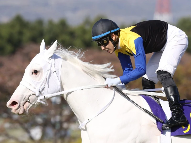 オークスはソダシに不安材料あり 母仔制覇を狙う娘が差し切るか 競馬 集英社のスポーツ総合雑誌 スポルティーバ 公式サイト Web Sportiva