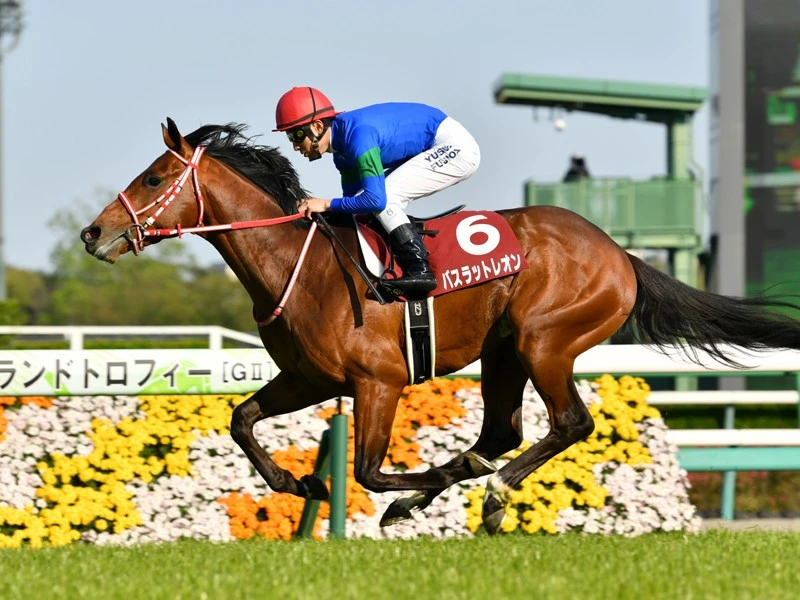 Nhkマイルｃはキズナ産駒３頭に注目 血統的ジンクスに当てはまらない馬で勝負 競馬 集英社のスポーツ総合雑誌 スポルティーバ 公式サイト Web Sportiva