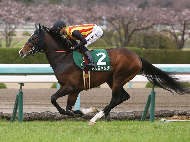 ライン 馬 コマンド コマンドラインが断然人気に応え快勝/動画・結果【2歳新馬戦】