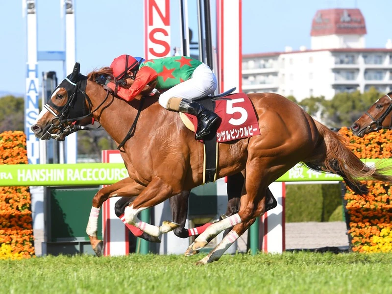 函館スプリントｓの注目の２頭 北海道の洋芝で３歳牝馬の好走に期待 競馬 集英社のスポーツ総合雑誌 スポルティーバ 公式サイト Web Sportiva