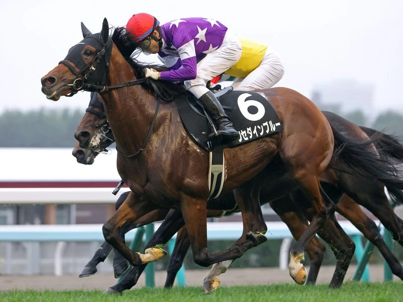 今年も函館記念は波乱の予感 人気薄になりそうな馬から激走期待の２頭に注目 競馬 集英社のスポーツ総合雑誌 スポルティーバ 公式サイト Web Sportiva