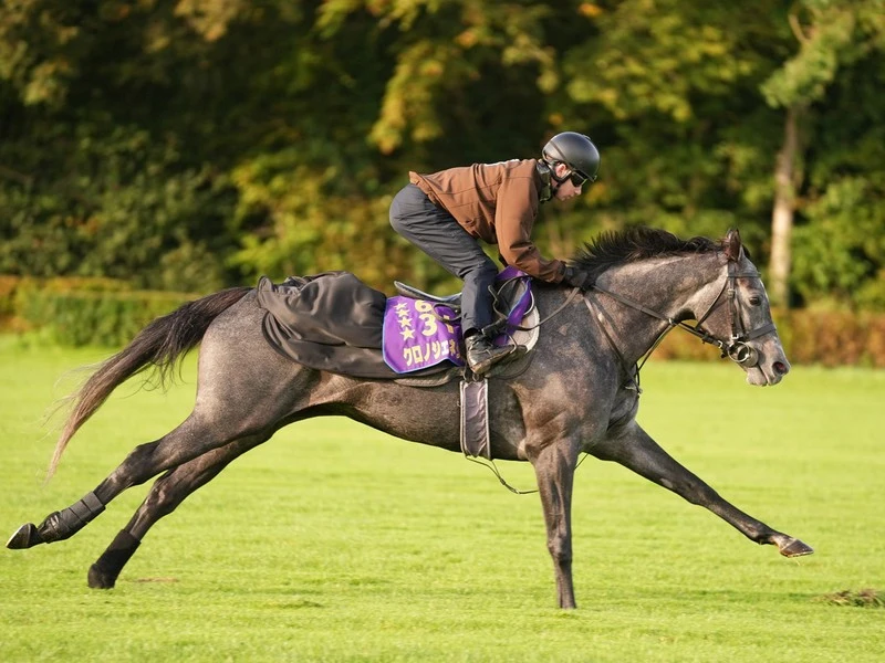 100回目の凱旋門賞で武豊か日本馬の初勝利なるか 相手は チャンピオンクラスだらけ の欧州馬たち 競馬 集英社のスポーツ総合雑誌 スポルティーバ 公式サイト Web Sportiva