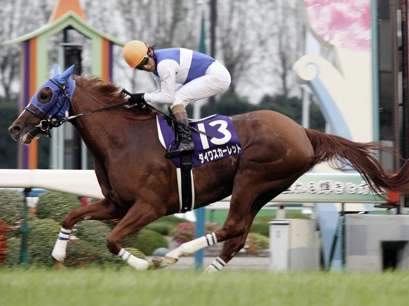 ウマ娘でも描かれるダイワスカーレットとウオッカのライバル関係 秋華賞や天皇賞 秋で見せた伝説の名勝負 競馬 集英社のスポーツ総合雑誌 スポルティーバ 公式サイト Web Sportiva