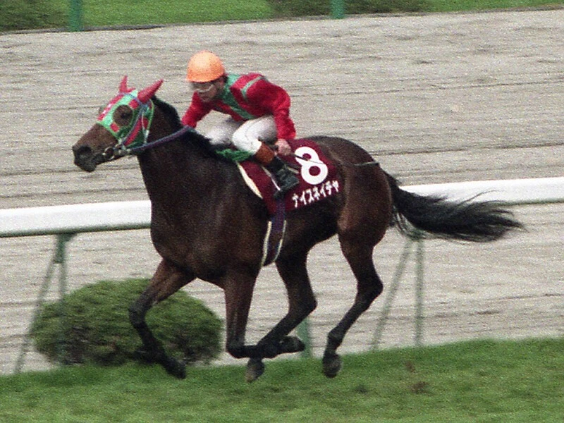ウマ娘をきっかけに人気再燃 有馬記念で３年連続３着と競馬ファンに愛された名脇役 ナイスネイチャのストーリー 競馬 集英社のスポーツ総合雑誌 スポルティーバ 公式サイト Web Sportiva