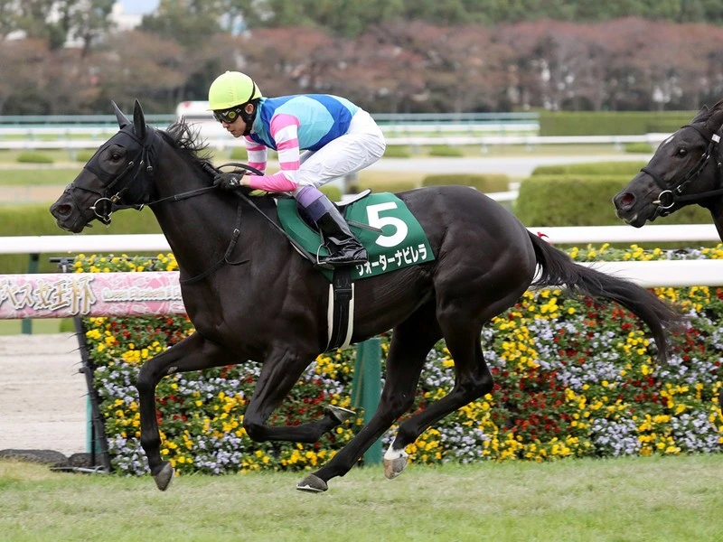 近年まれに見る大混戦の ２歳牝馬ランキング 真の女王はいまだ影を潜めているのか 競馬 集英社のスポーツ総合雑誌 スポルティーバ 公式サイト Web Sportiva