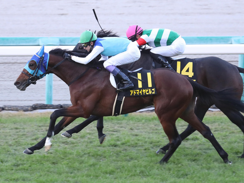 日経新春杯は「6億円馬」が魅せる。重賞初制覇へ条件変更も追い風だ