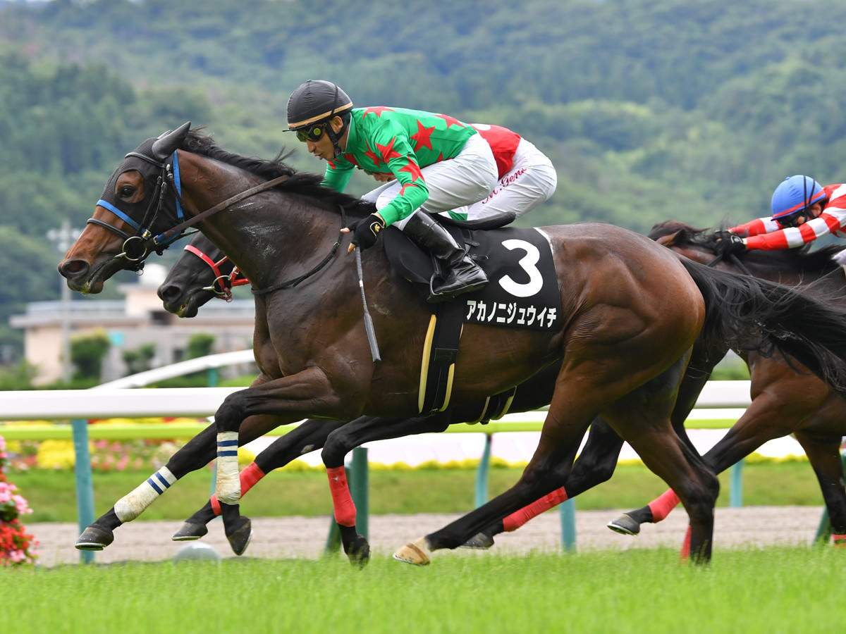 京成杯オータムHは舞台得意の騎手に注目。鞍上の牝馬の激走が万馬券をもたらす