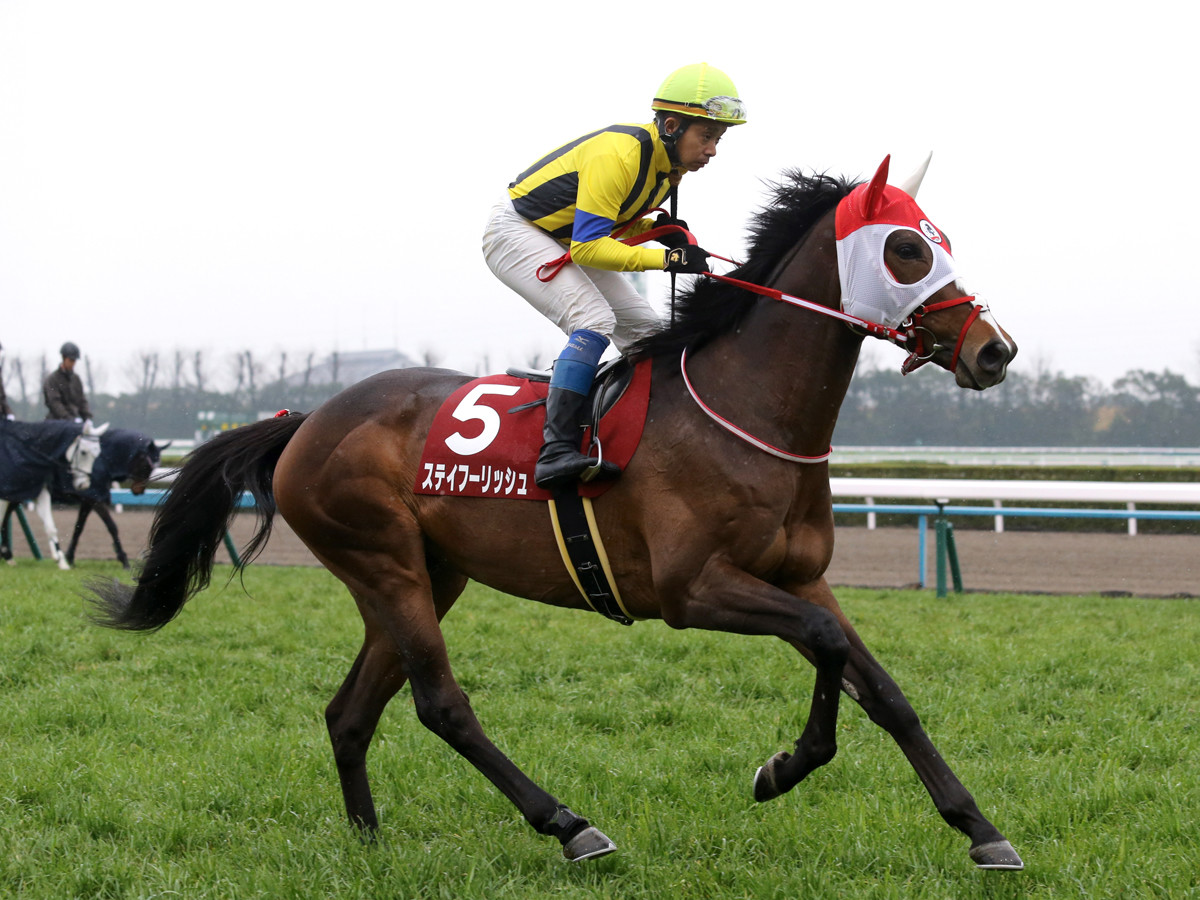 札幌記念はトップ牝馬の激突に注目も、牡馬「堅実派」が魅力的