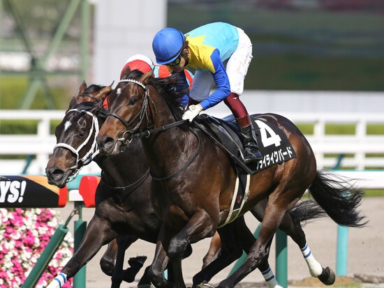 日経新春杯での勝ち負けが見込まれるフライライクバード