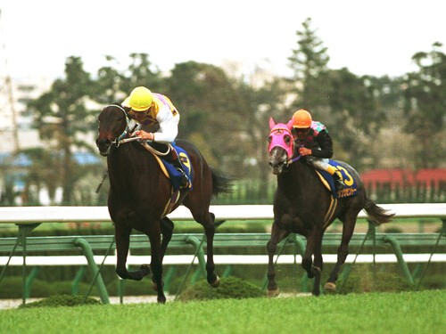 1992年の桜花賞、１番人気に応える形でレースを制したニシノフラワー（写真左）