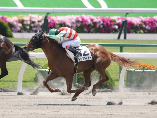 プロキオンＳでの大駆けが期待されるトップウイナー