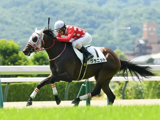 新潟２歳Ｓでの一発が期待されるグラニット