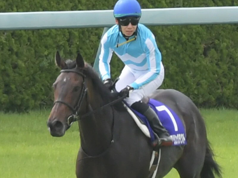 最新エルメス 松山弘平騎手直筆サイン色紙 デアリングタクト 秋華賞優勝記念 書