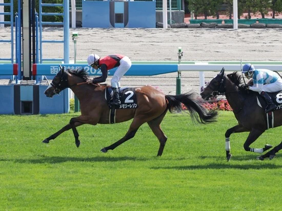前走の２勝クラス・北海ハンデキャプを快勝したメモリーレゾン