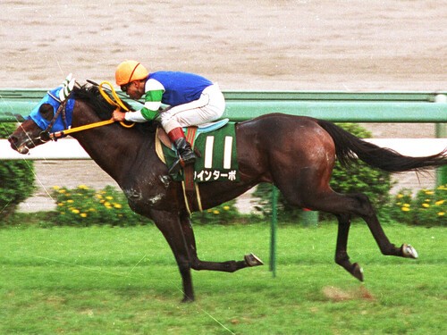 1993年のオールカマーでは５馬身差をつけて圧勝したツインターボ
