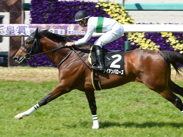 2021年４月、阪神・芝2400ｍの白鷺特別を制したアイアンバローズ