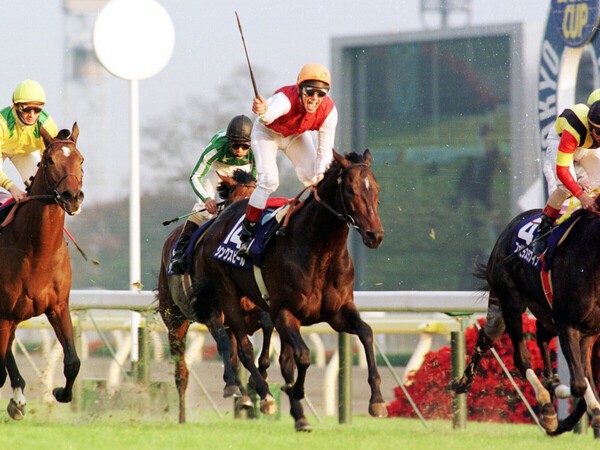 1996年にジャパンＣを制したアイルランドのシングスピール。今年も外国馬が勝利するか