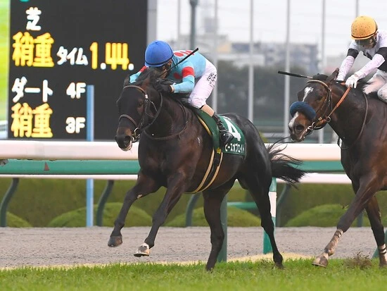 今の阪神の馬場が合いそうなピースオブエイト